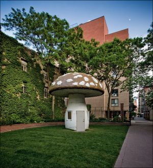 Sculpture Garden